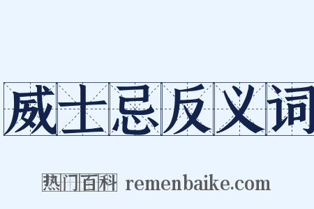 威士忌反义词是什么意思的图片